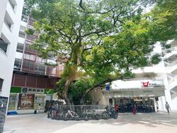 Blk 375 Commonwealth Avenue (Queenstown), HDB 4 Rooms #490992081